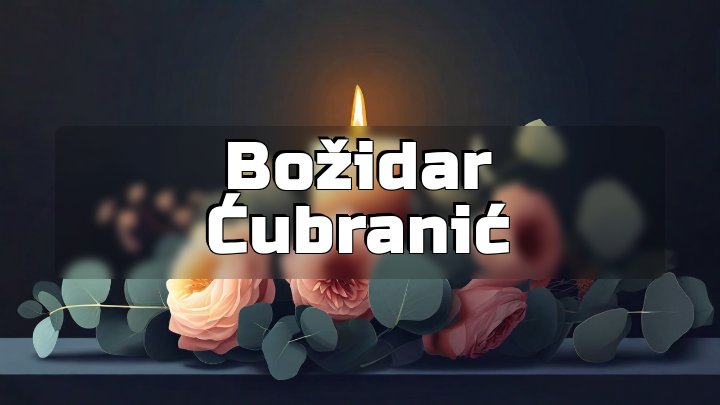 Božidar Ćubranić, Stuttgart-Vaihingen, Germany