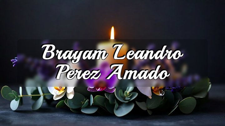 Brayam Leandro Perez Amado, Arlington, Virginia